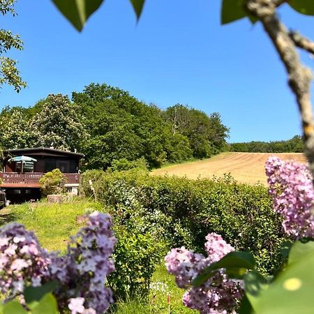 HarztorFerienhaus Zittertal Neustadt Harz Haus I别墅 外观 照片
