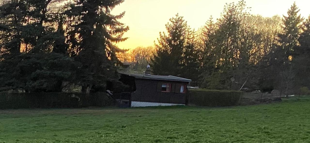 HarztorFerienhaus Zittertal Neustadt Harz Haus I别墅 外观 照片