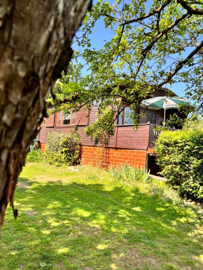 HarztorFerienhaus Zittertal Neustadt Harz Haus I别墅 外观 照片
