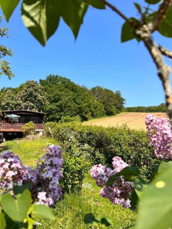 HarztorFerienhaus Zittertal Neustadt Harz Haus I别墅 外观 照片